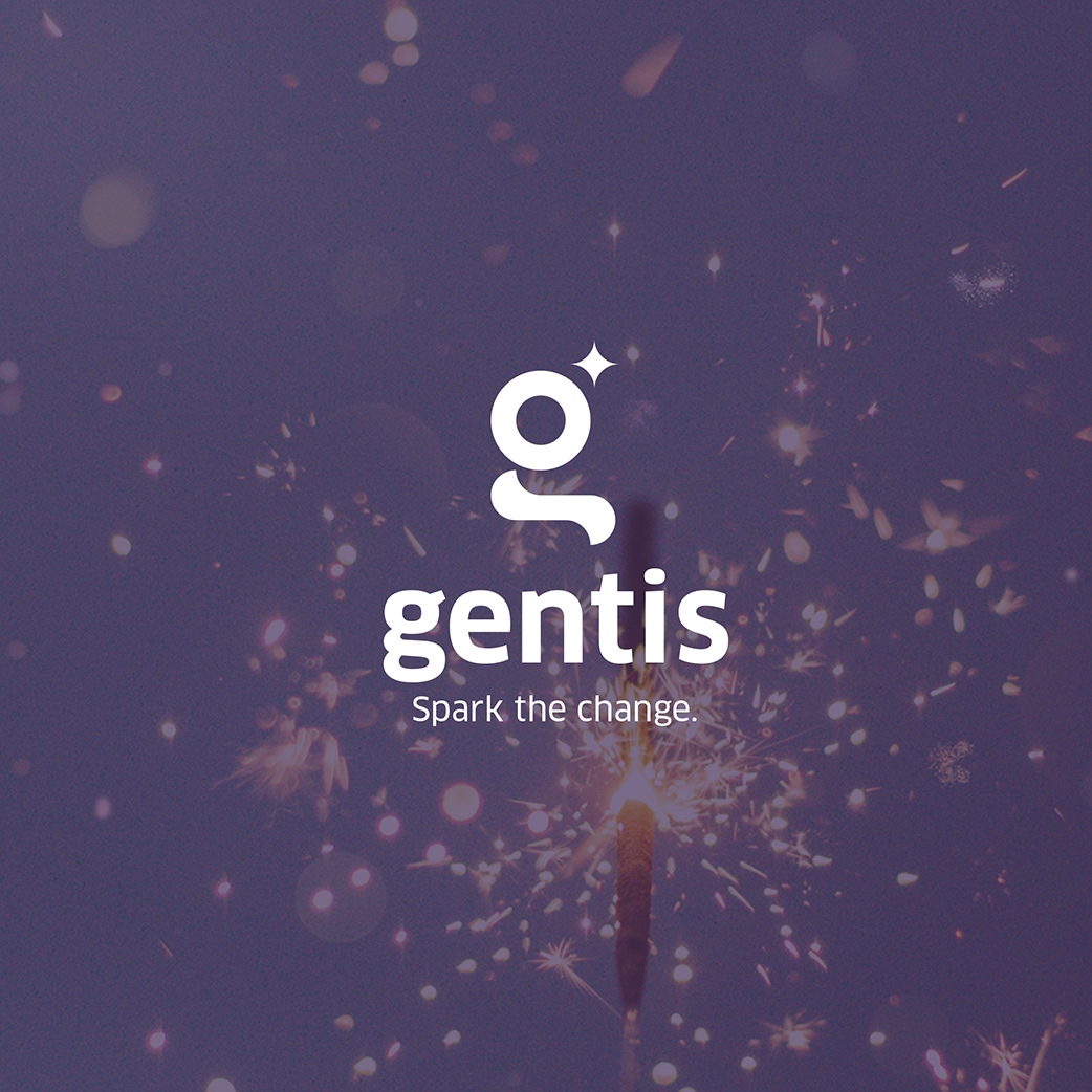 Lara Zigic web design